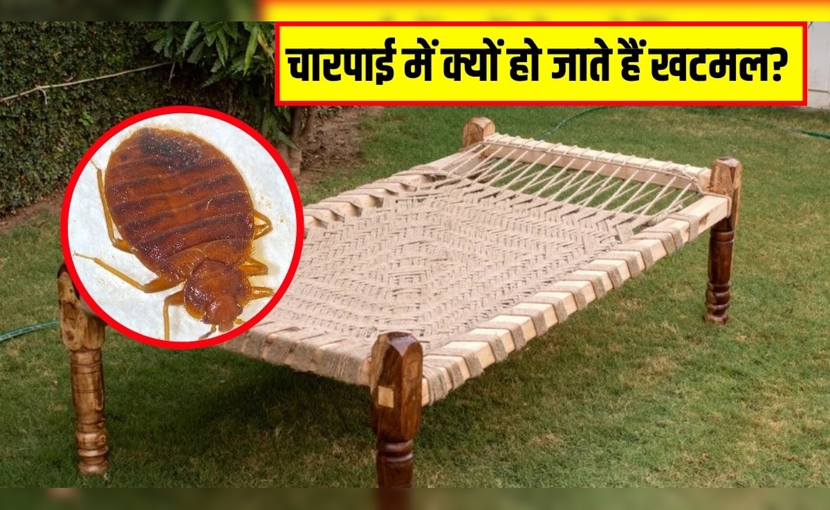 चारपाई में क्यों हो जाते हैं खटमल? आयुर्वेदिक एक्सपर्ट ने बताया कैसे करें खटमल का सफाया 