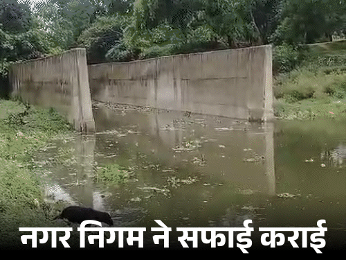 ताजमहल के पीछे गंदगी के VIDEO के बाद सफाई:नगर निगम ने कहा- ये पुरानी फुटेज, अखिलेश ने लिखा- भाजपा राज में गंदगी का साम्राज्य 