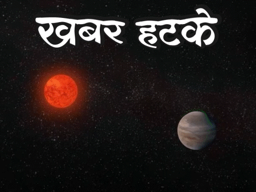 खबर हटके-दूसरे ग्रह पर मिला पानी, धरती से दोगुना बड़ा:मगरमच्छ से शादी, किस भी किया; जानिए दिनभर की 5 रोचक खबरें 