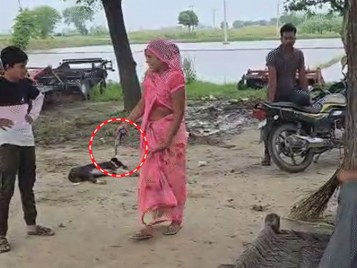 हाथरस में महिला ने जेठ पर ताना तमंचा:धमकी देकर बोली- देखती हूं क्या होता है, जमीन के लिए चल रहा है झगड़ा 