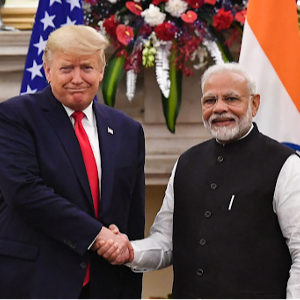 अमेरिका को पशु-आहार बेचने की अनुमति दे सकता है भारत:9 जुलाई से पहले ट्रेड डील की कोशिश; समझौता ना होने पर 26% टैरिफ लगेगा 